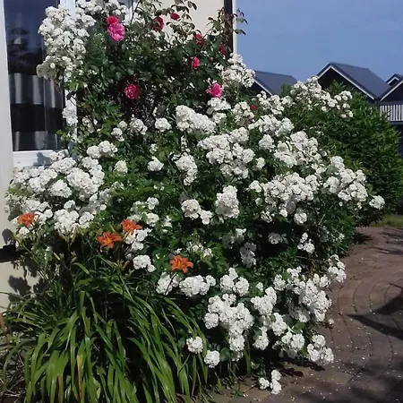 Honoratka Z Prywatnym Polem Do Gry W Mini Golf 게스트하우스