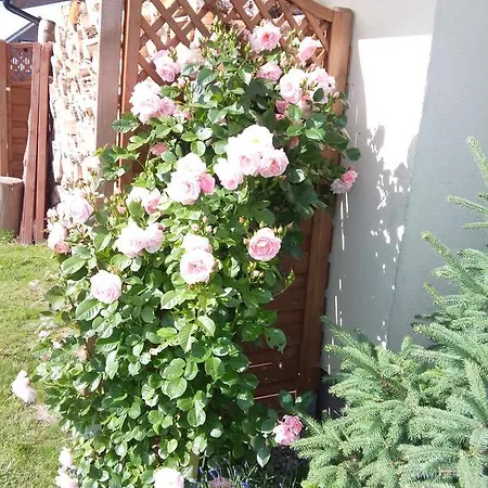 بيت ضيافة Honoratka Z Prywatnym Polem Do Gry W Mini Golf ريفال