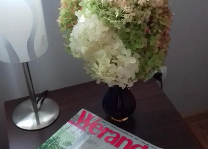 Honoratka Z Prywatnym Polem Do Gry W Mini Golf Pensión Rewal