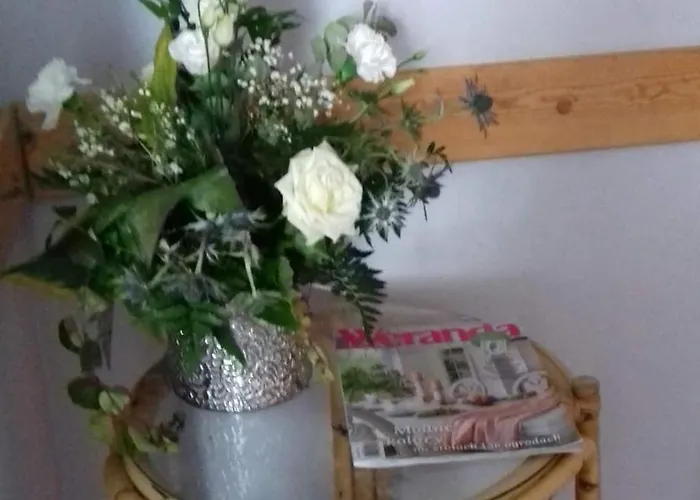 Honoratka Z Prywatnym Polem Do Gry W Mini Golf 3* Реваль