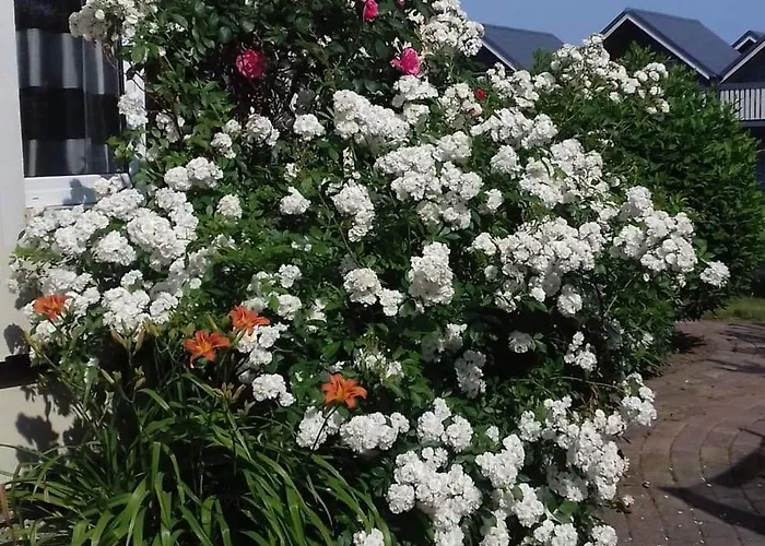 Honoratka Z Prywatnym Polem Do Gry W Mini Golf Pensión